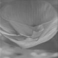thumbnail image 1 of Ahgly Company Machine Washable Indoor Square Transitional Ash Gray Area Rugs, 4' Square, 1 of 7