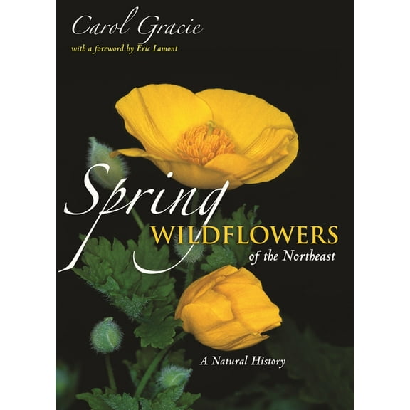 Spring Wildflowers of the Northeast: A Natural History, (Paperback)