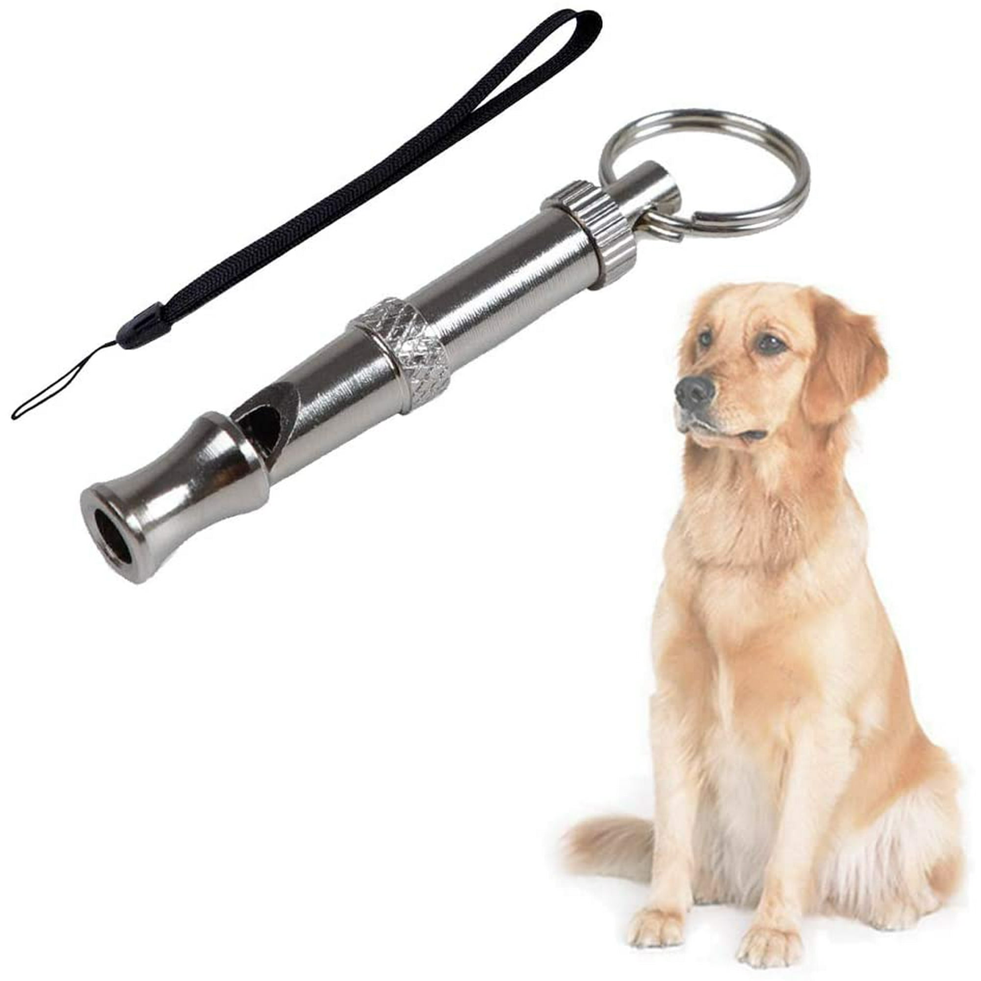 Why Do I Hear A Dog Whistle