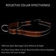 thumbnail image 4 of Plutus Pet Reflective Martingale Collar with Quick Snap Buckle, 4 of 7