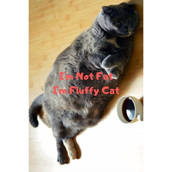 I'm Not Fat I'm Fluffy Cat Gift For Mom Wife Lover Women Sister Nurse (Paperback)
