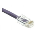 thumbnail image 3 of Cat6 Purple Ethernet Patch Cable, Bootless, 2 foot, 3 of 4