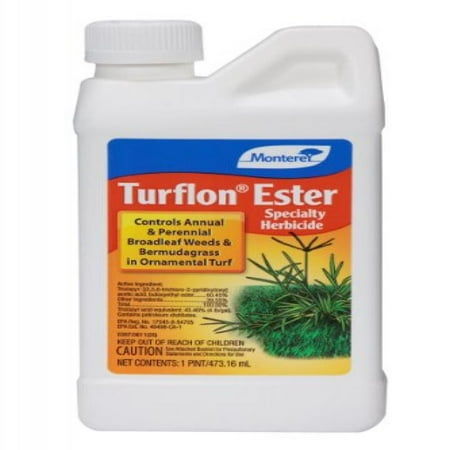 Monterey Turflon Ester 16oz