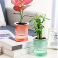 thumbnail image 4 of Self Watering Planter Pot, Transparent Double Layer Plastic Flower Pot for Office Desk and Indoor Plants, 4 of 7