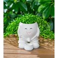 thumbnail image 1 of Planter RZOIKZOI, peculiar y linda cara sonriente, chico travieso, blanco, 1 of 6