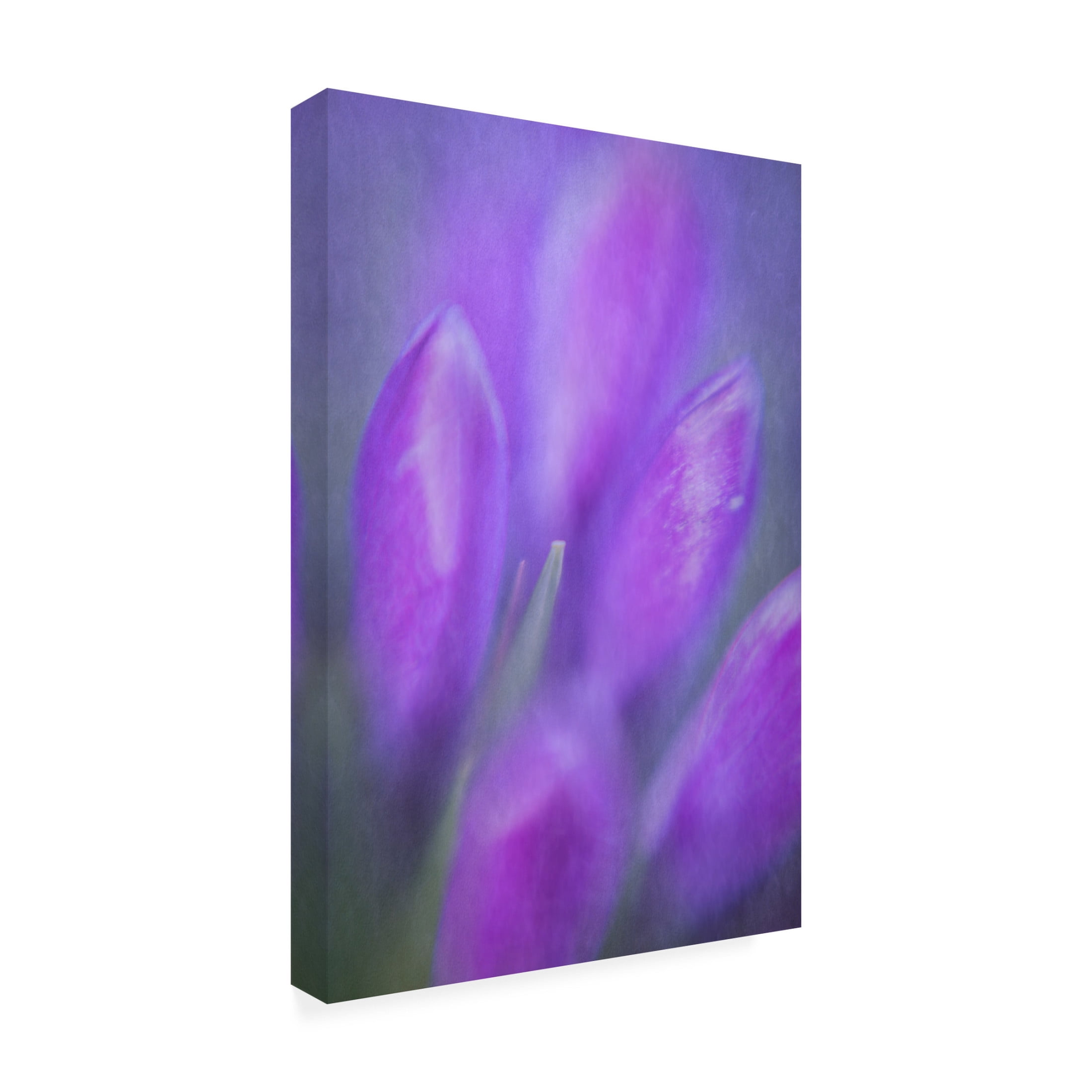 Canvas Wall Art - Ludwig Riml 'Crocouse Bouquet' Wall Art for Living Room, Bedroom, or Office Décor by Trademark Fine Art - 30 x 47 Inches