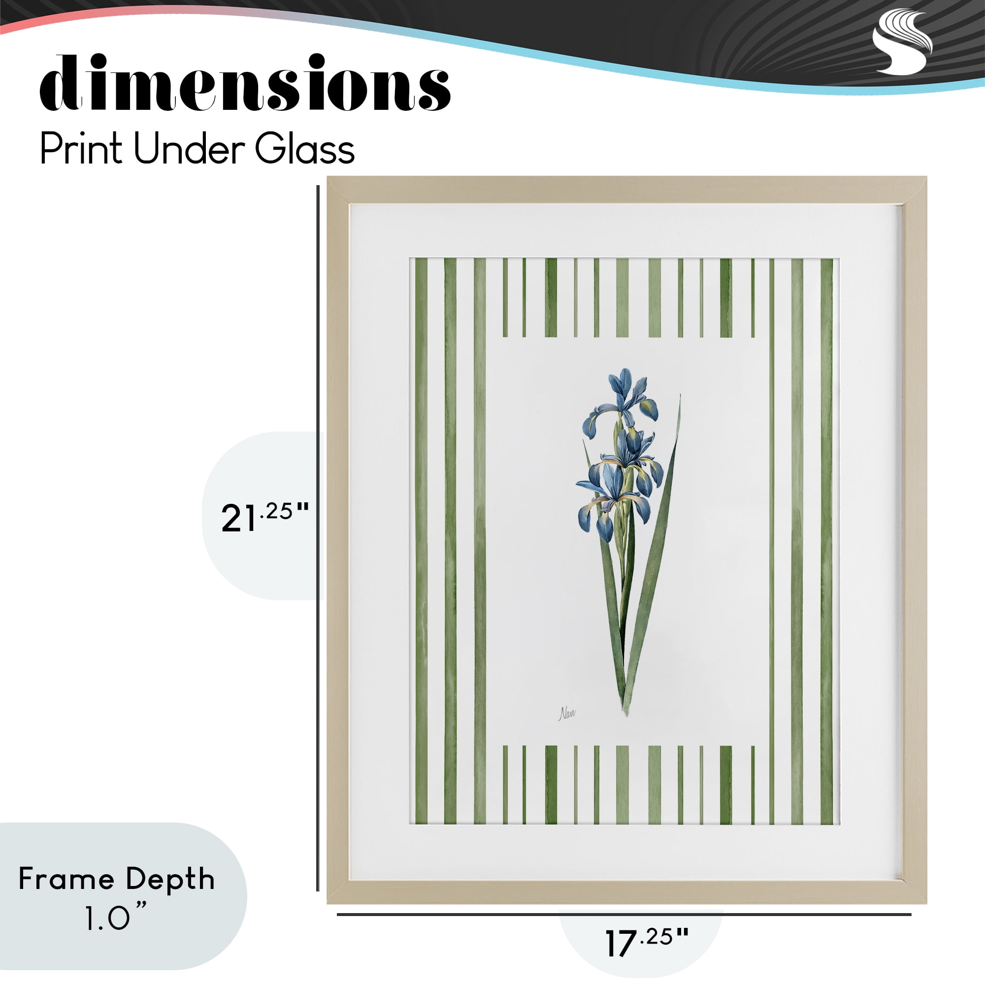 Stupell Industries Spring Irises with Stripes Birch Framed Print Under Glass, design by Nan