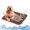 🔥 Coffee_New, variant on onlyliua Breathable Cooling Pet Mat Water-Absorbent Dual-Layer Summer Chill Pad Portable Non-Slip Washable Crate Sofa Floor Mat for Dogs and Cats Lightweight Travel Cooling Bed