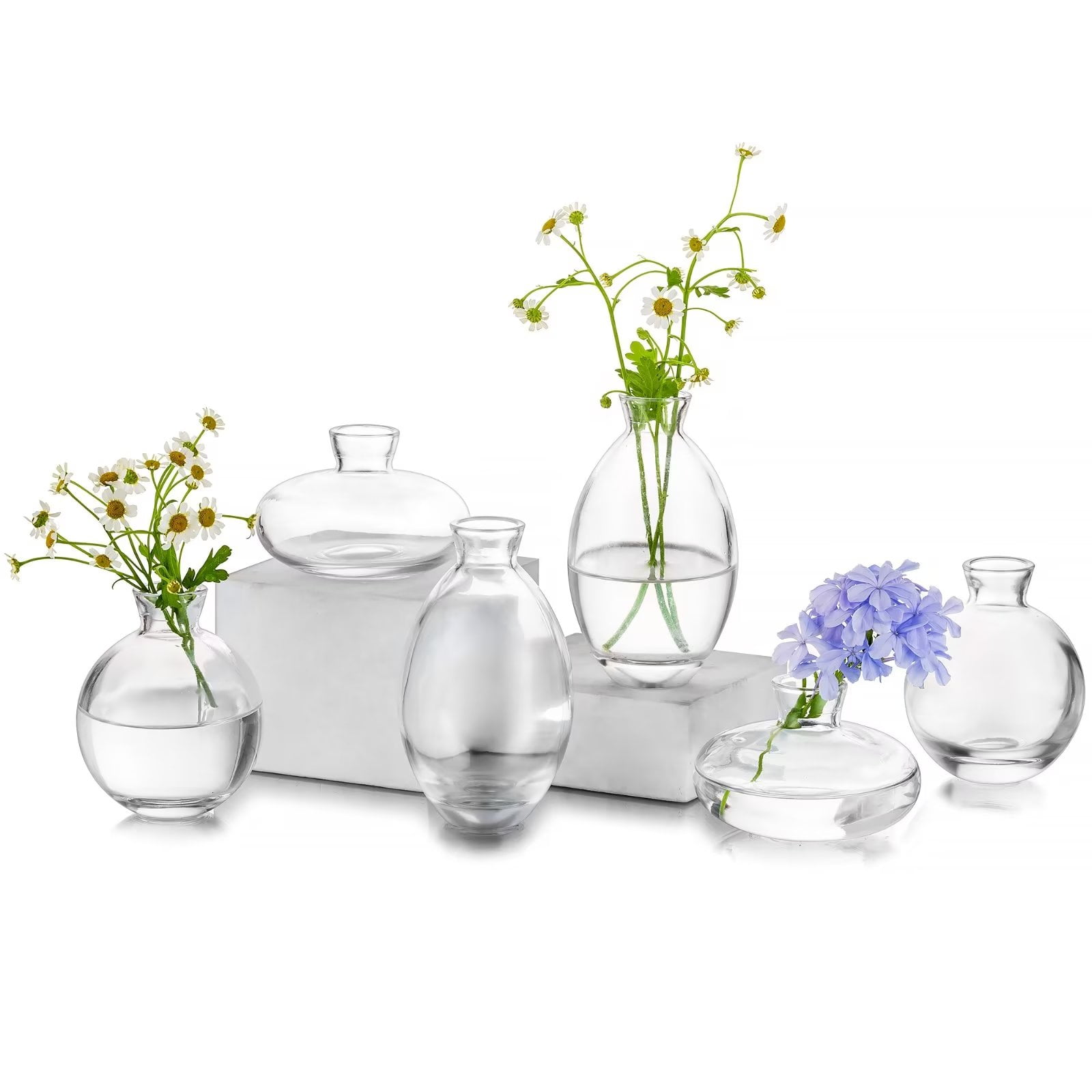 Glasseam Small Bud Vases for Flowers Set of 6 Clear Mini Glass Vase for