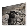 thumbnail image 2 of Designart 'Black and White Portrait Of A Spanish Bull II' Farmhouse Print on Natural Pine Wood, 2 of 5