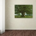 thumbnail image 3 of Trademark Art "The Oak of Flagey" Canvas Art by Gustave Courbet, 3 of 3