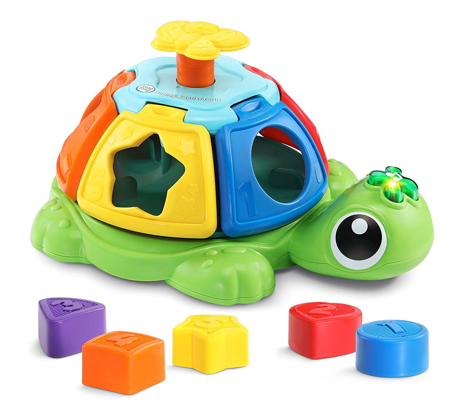 turtle shape sorter