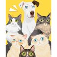 thumbnail image 1 of Pintura de diamantes (DE6724) Gatos y perros Pared de diamantes de imitación redonda completa 50x70cm FLhrweasw Nuevo, 1 of 1