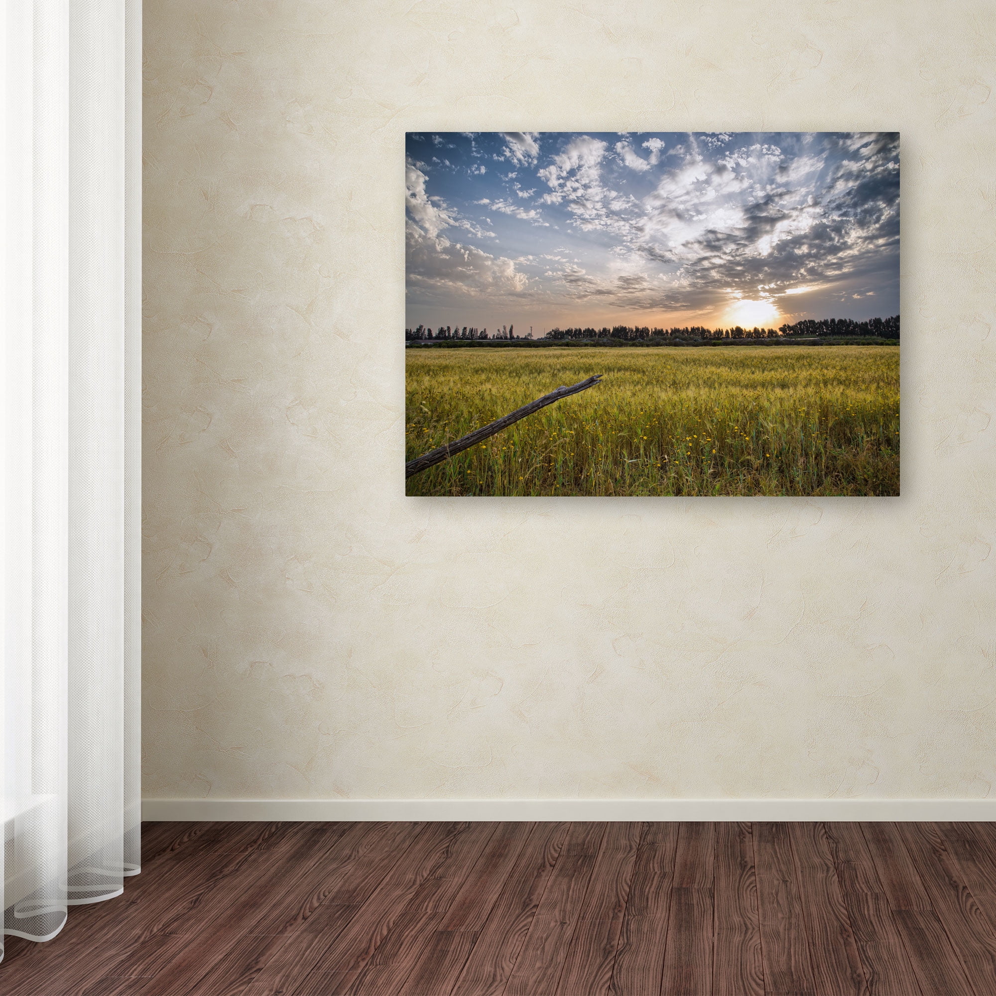 Trademark Fine Art "End of Day" Canvas Art by Giuseppe Torre