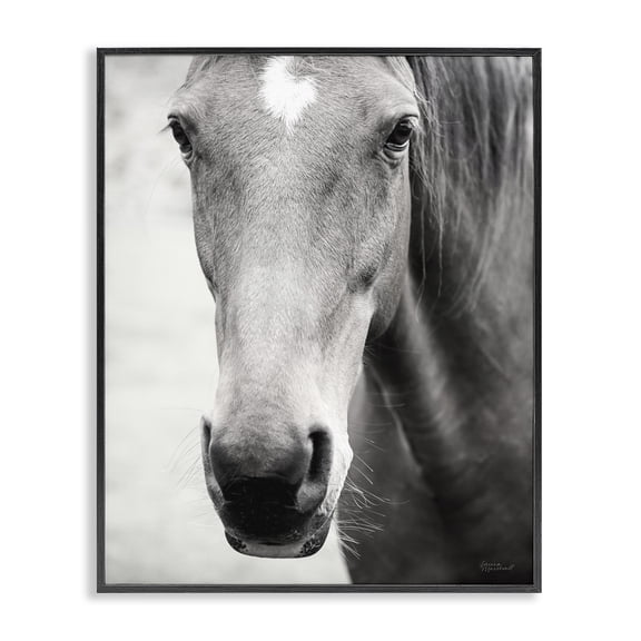 Stupell Industries Traditional Moke Lake Horse Photography Black Framed Giclee Art, 24 x 30, by Laura Marshall
