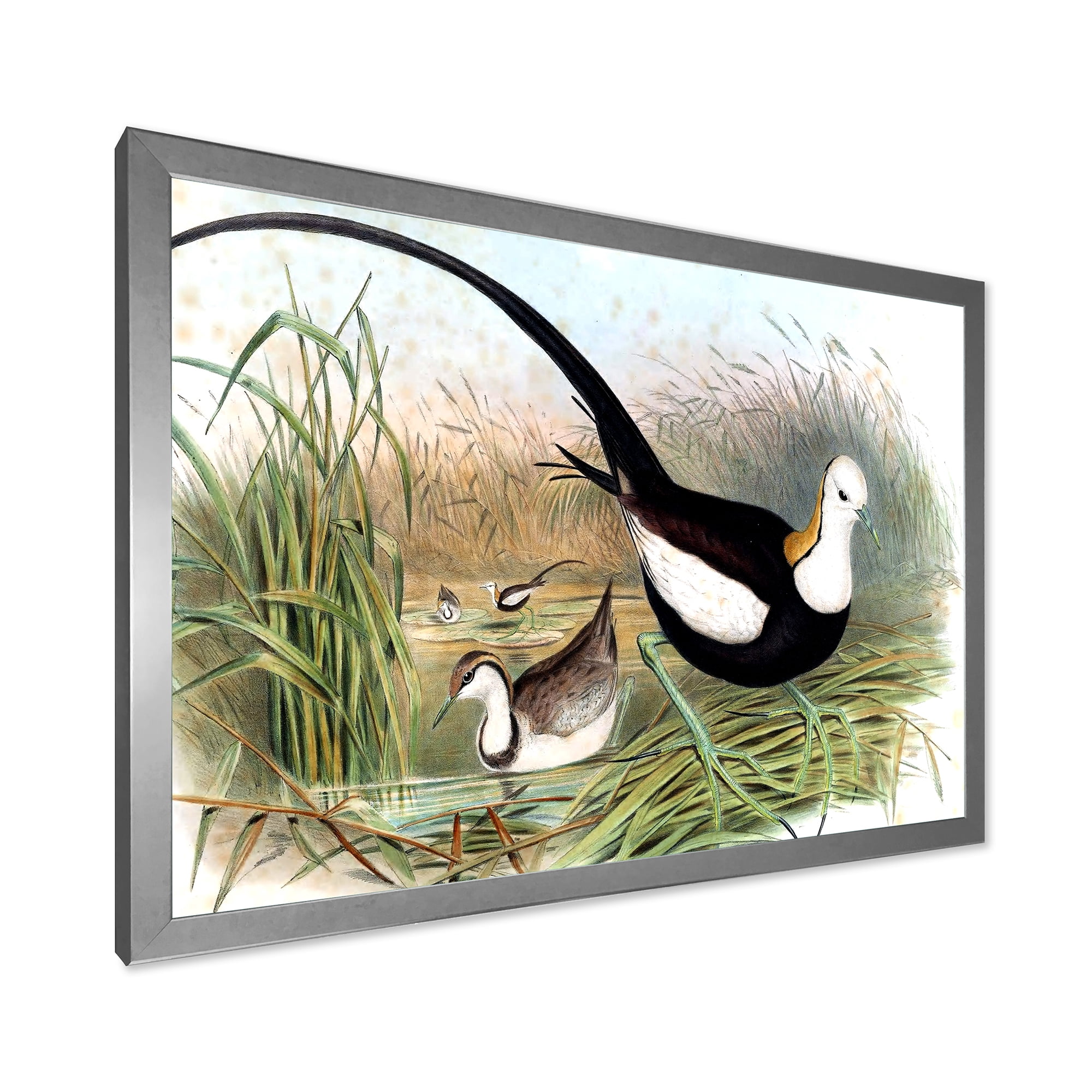 Designart 'Vintage Countryside Birds In Lake' Farmhouse Framed Art Print