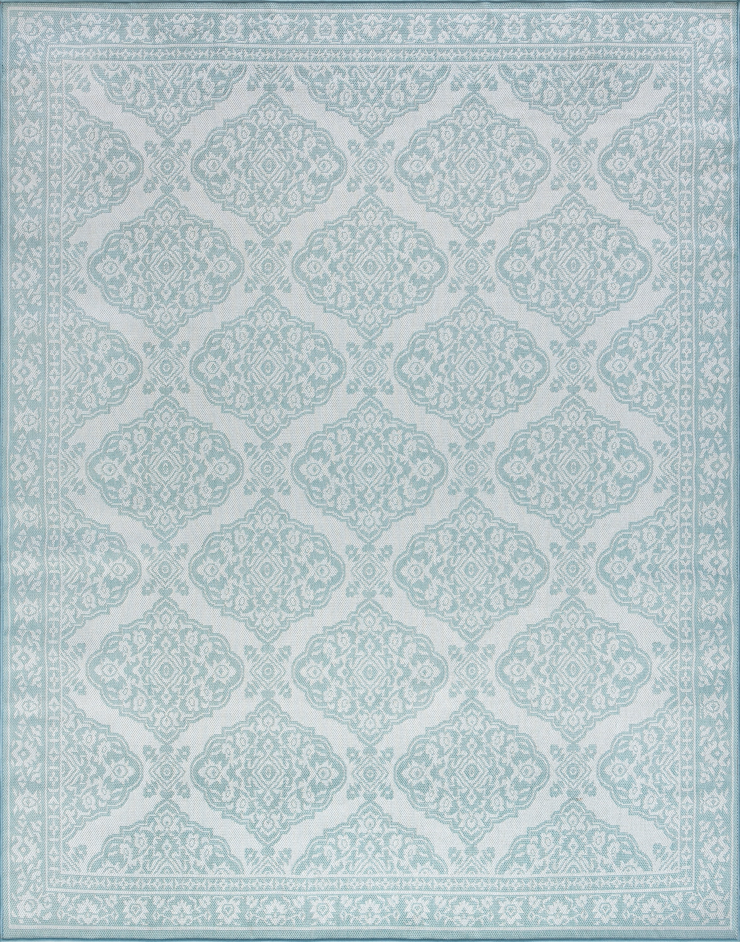 8x10 Water Resistant, Large Indoor Outdoor Rugs for Patios, Front Door Entry, Entryway, Deck, Porch, Balcony | Outside Area Rug for Patio | Aqua, Floral | Size: 7'11'' x 10'3''