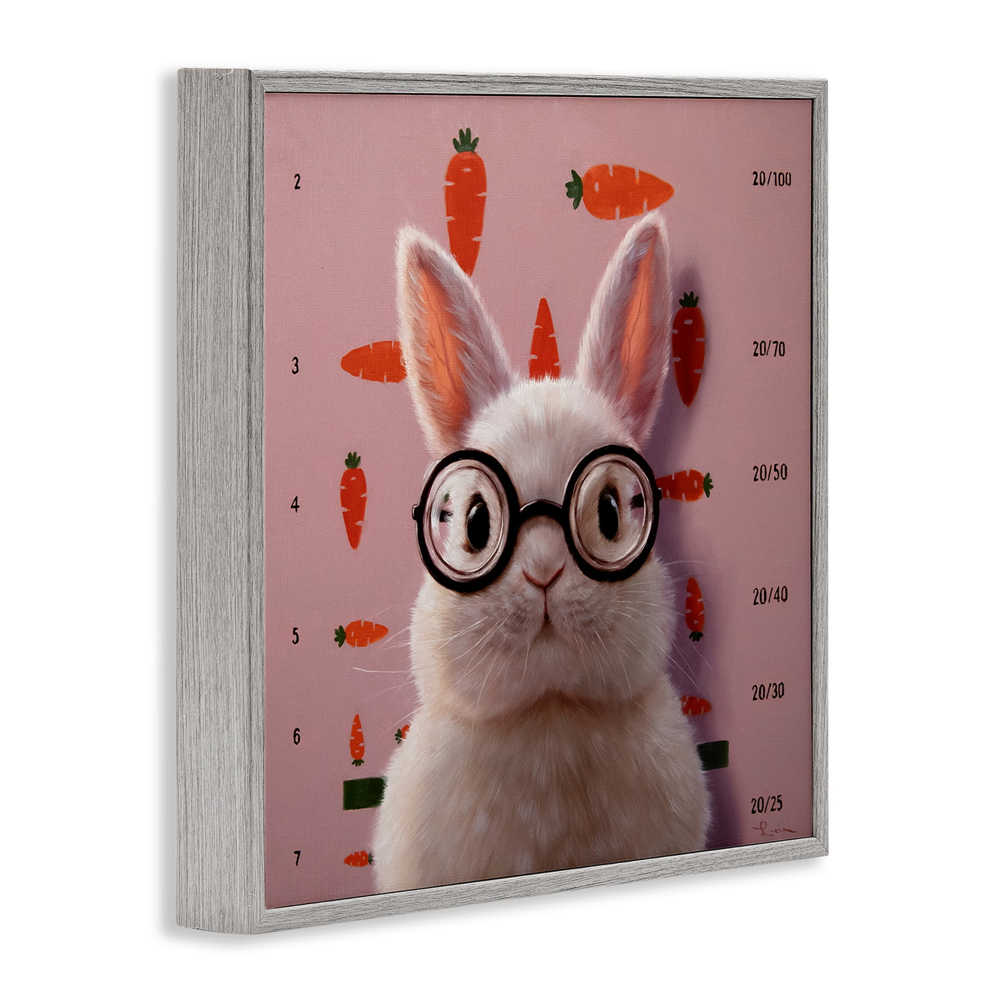 Bunny & Carrots Eye Exam Gray Framed Giclee Art, design by Lucia Heffernan