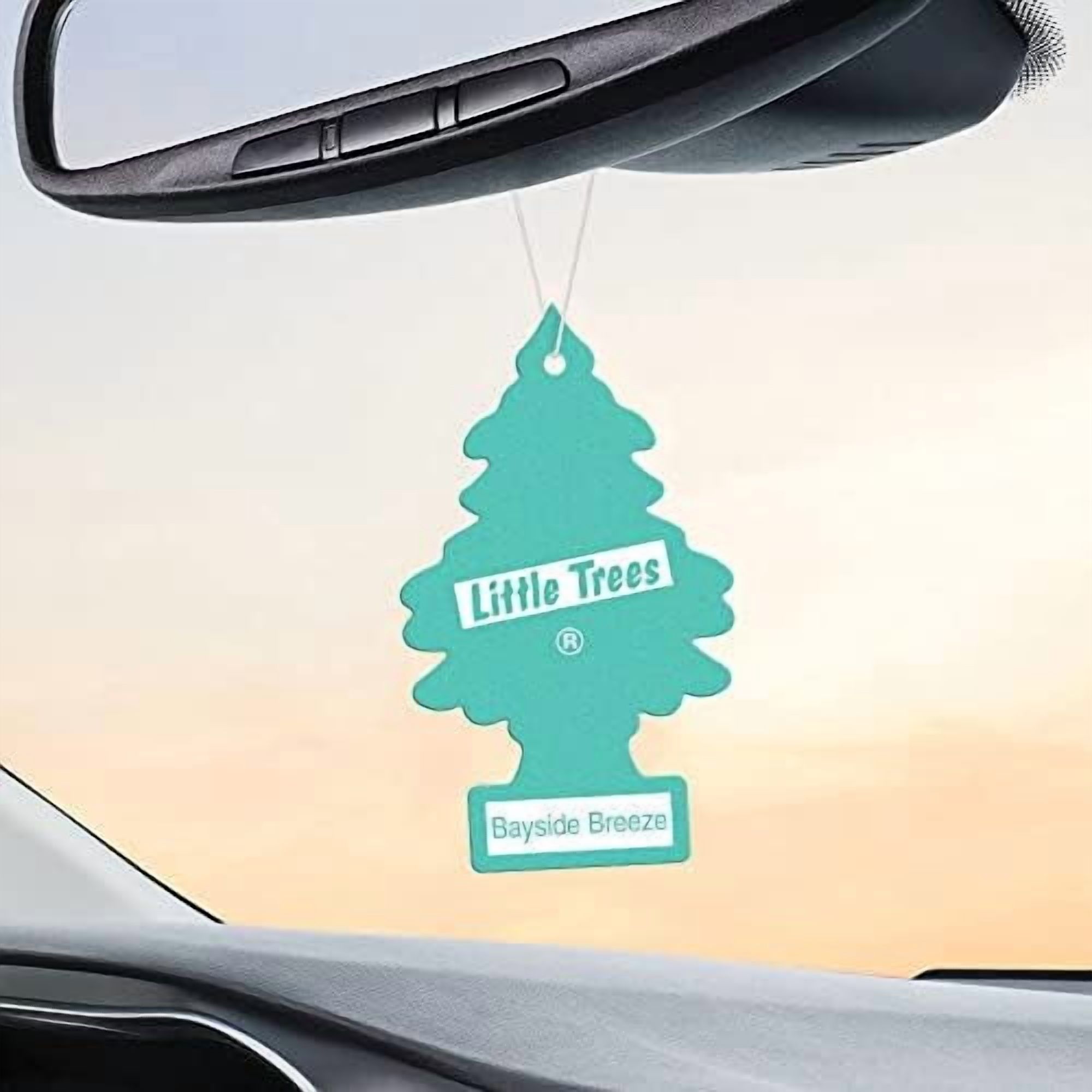 LITTLE TREES Air Fresheners Car Air Freshener. Hanging Tree Provides Long Lasting Scent for Auto or Home. Bayside Breeze, 24 Air Fresheners
