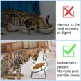 thumbnail image 4 of Cuencos para gatos MCSAPIL con inclinación elevada, cerámica elevada, ángulo de 15°, 4 of 7