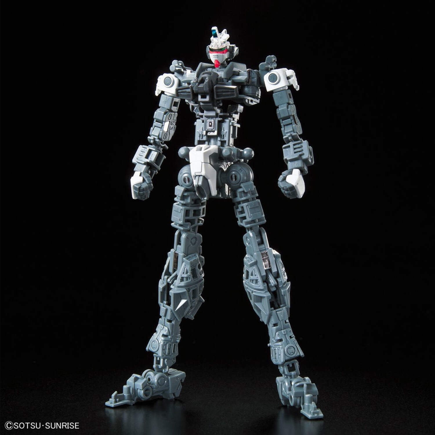 Gundam Seed Destiny Force Impulse RG 1:144 Model Kit