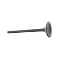 thumbnail image 3 of DNJ EV329 Exhaust Valve Fits Cars & Trucks 98-03 Chevrolet GMC Isuzu Pontiac 2.2L OHV 8V, 3 of 5
