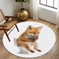 thumbnail image 2 of Round Rugs 6Ft, Funny Foxes Round Area Rug Washable Indoor Throw Carpet, Cute Art Fun Lovely Animals on Toilets Soft Non Slip Circle Rug for Office Cabinet Home Decor Aesthetic, 2 of 8