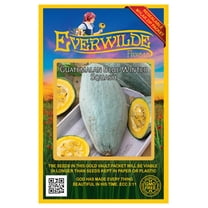 Everwilde Farms - 20 Guatemalan Blue Winter Squash Seeds - Gold Vault Seed Packet