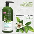 thumbnail image 2 of Avalon Organics Scalp Treatment Tea Tree Conditioner, 32 fl oz, 2 of 8
