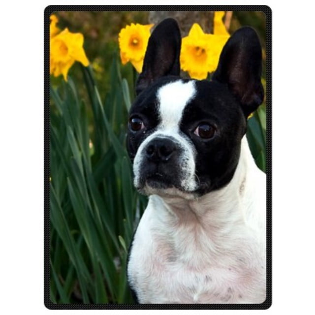 boston terrier blanket walmart