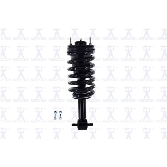 Suspension Strut and Coil Spring Assembly