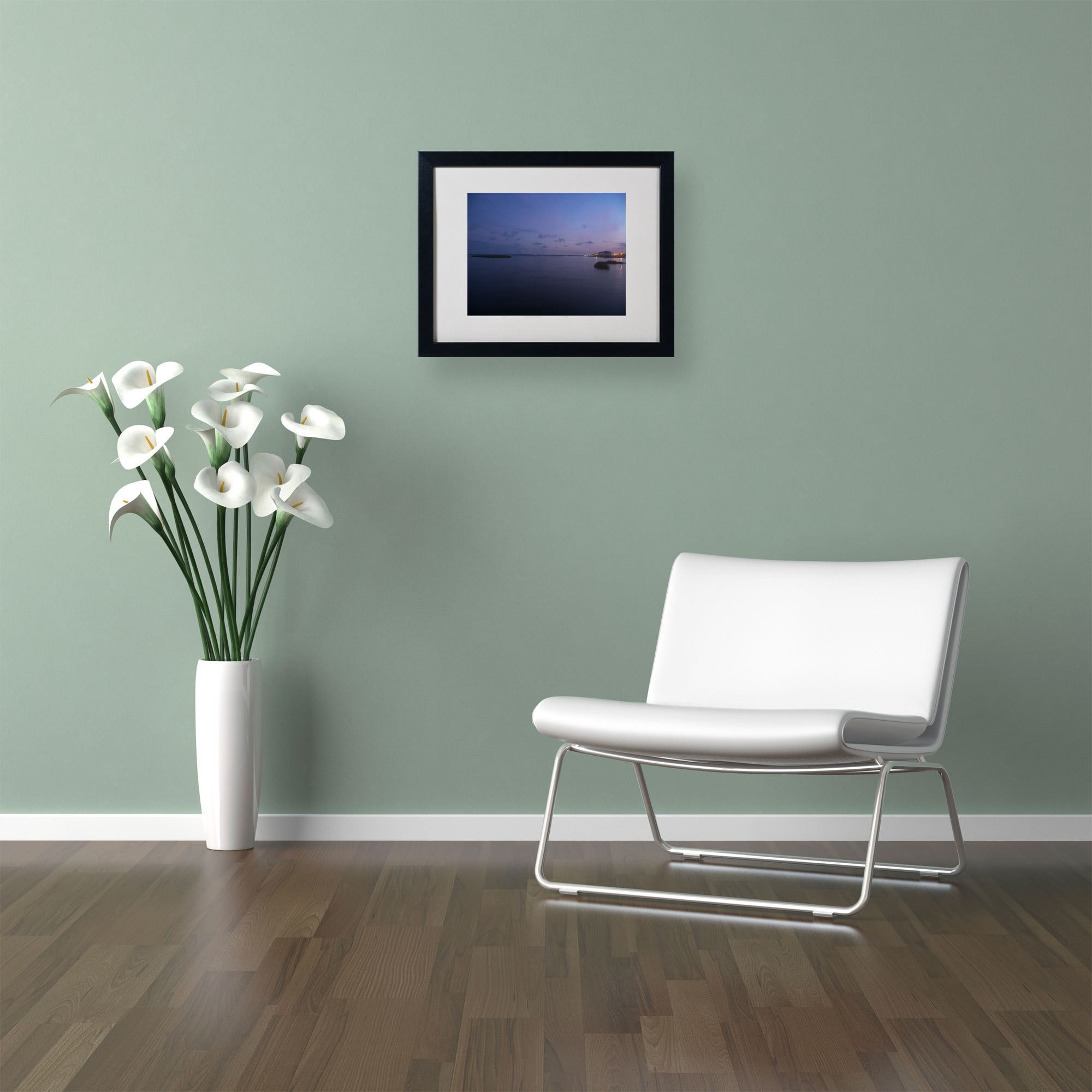 Trademark Fine Art "Pure Elegance" Canvas Art by Monica Fleet, White Matte, Black Frame