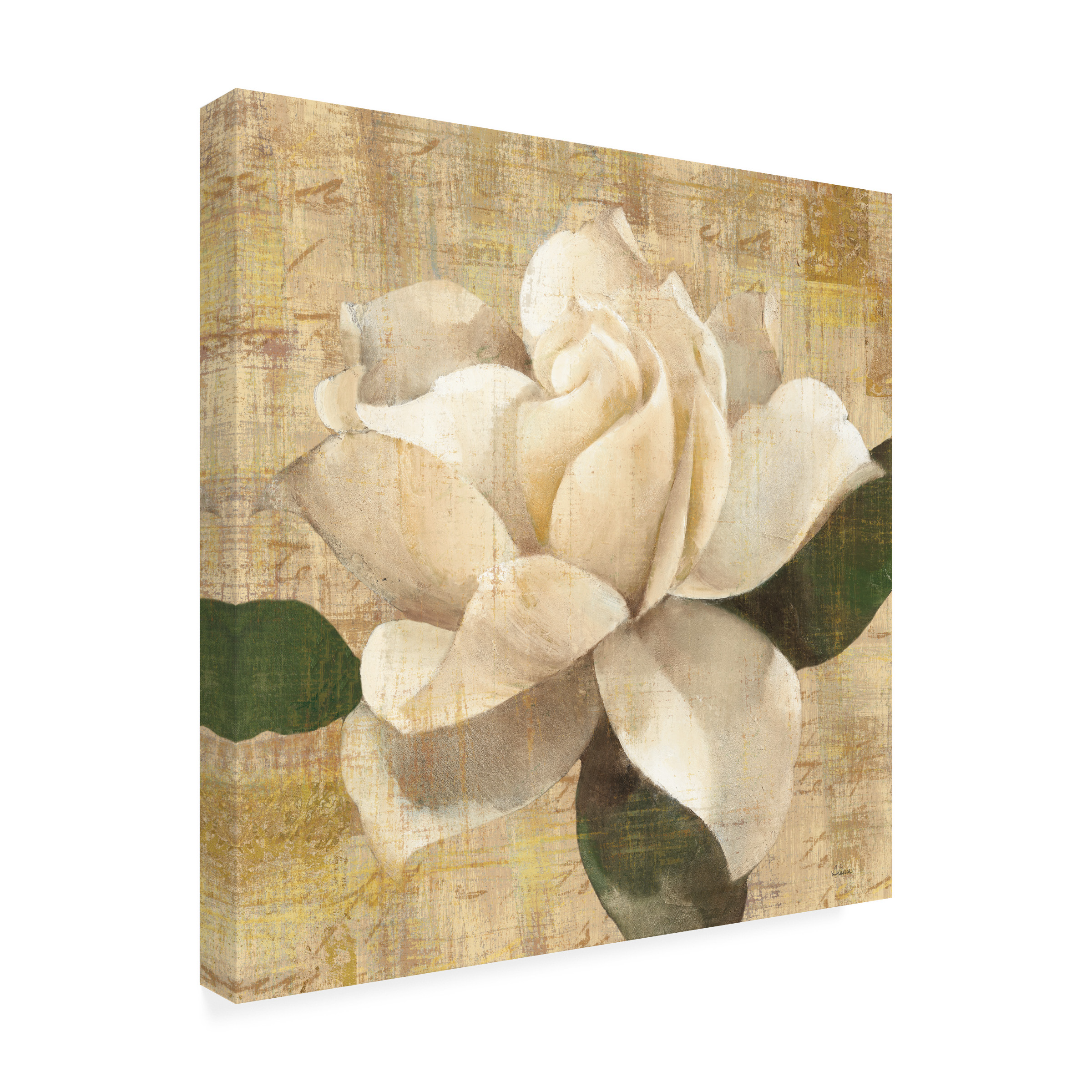 Trademark Fine Art 'Gardenia Blossom On Script' Canvas Art by Albena Hristova