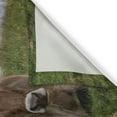 thumbnail image 3 of Ambesonne Farm Animal Kitchen Curtains, Resting Cows and Sky, 55"x39", Multicolor, 3 of 3