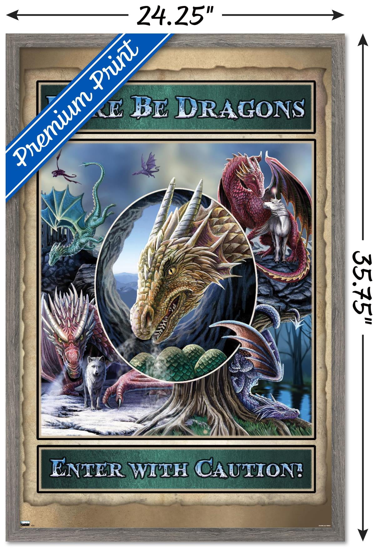 Lisa Parker - Here Be Dragons Wall Poster, 22.375" x 34", Framed