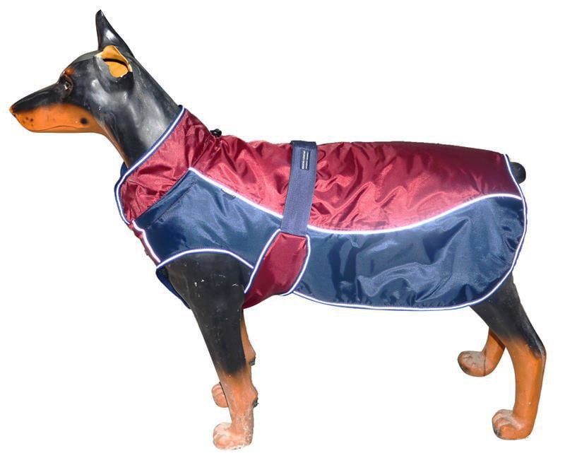 water resistant dog jacket