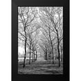 thumbnail image 2 of Carpentieri, Natalie 13x18 Black Modern Framed Museum Art Print Titled - Pier a Park, 2 of 5