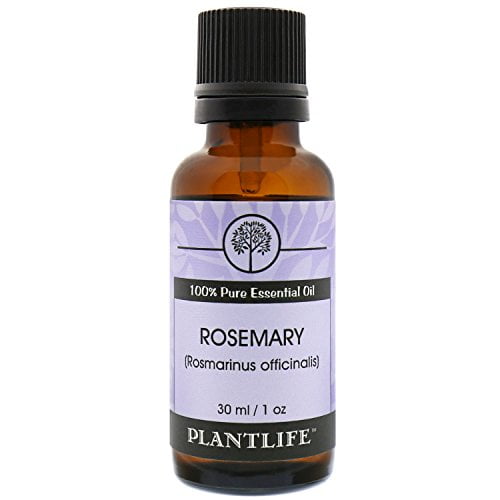 Rosemary 100 Pure Essential Oil30ml Walmart Canada