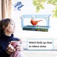 thumbnail image 7 of LUJII Colored Transparent Window Bird Feeder with Super Strong Suction Cups for Outside Wild Bird Feeding, Never Fades & Shatterproof, Accommodates Large Birds , Blue, 7 of 7