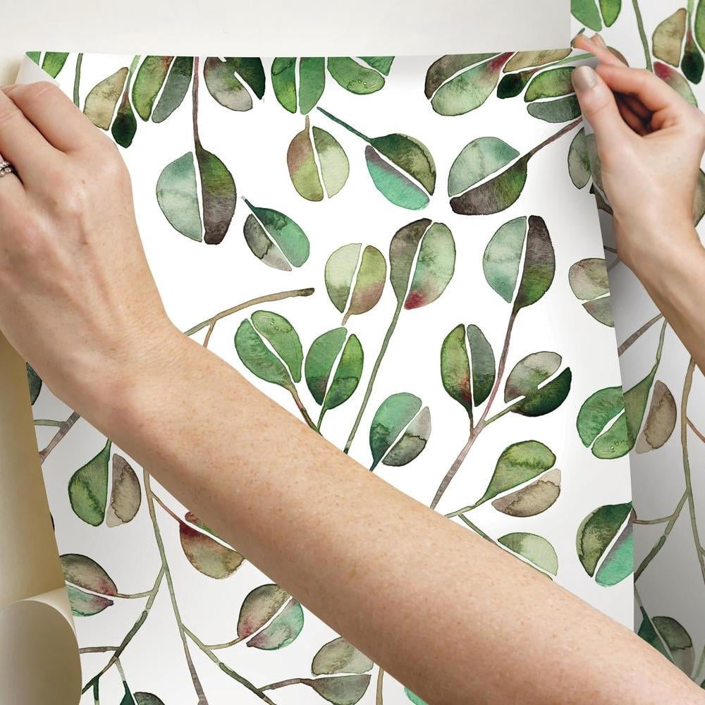 Cat Coquillette Eucalyptus Peel and Stick Wallpaper
