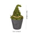 thumbnail image 2 of Halloween Moss Witch Hat Topiary in Cauldron, Green and Gray, 6.7", 2 of 6
