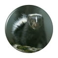 thumbnail image 1 of Curious Skunk Pinback Button Pin, 1 of 5