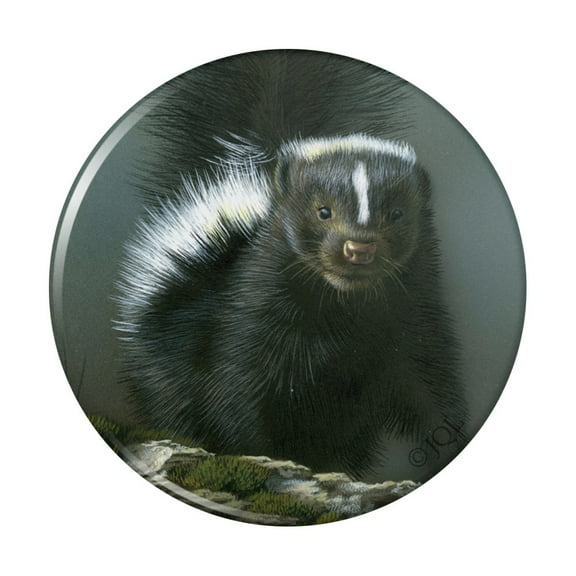 Curious Skunk Pinback Button Pin