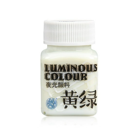 lixuesong Acrylic Paint Fluorescent Paint for Fabric Craft Paint Blacklight Paint Art Supplies for Adults