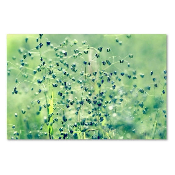 Trademark Fine Art "Spring Notes" Canvas Art by Beata Czyzowska Young