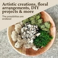 thumbnail image 4 of Quality Growers - The Moss Collection Variety Pack - Natural Decorative Moss - Crafts, Home Decor, Art, Design & DIY Projects - Non-Toxic - Made in USA - Original, Small, 2-Pack, 4 of 7
