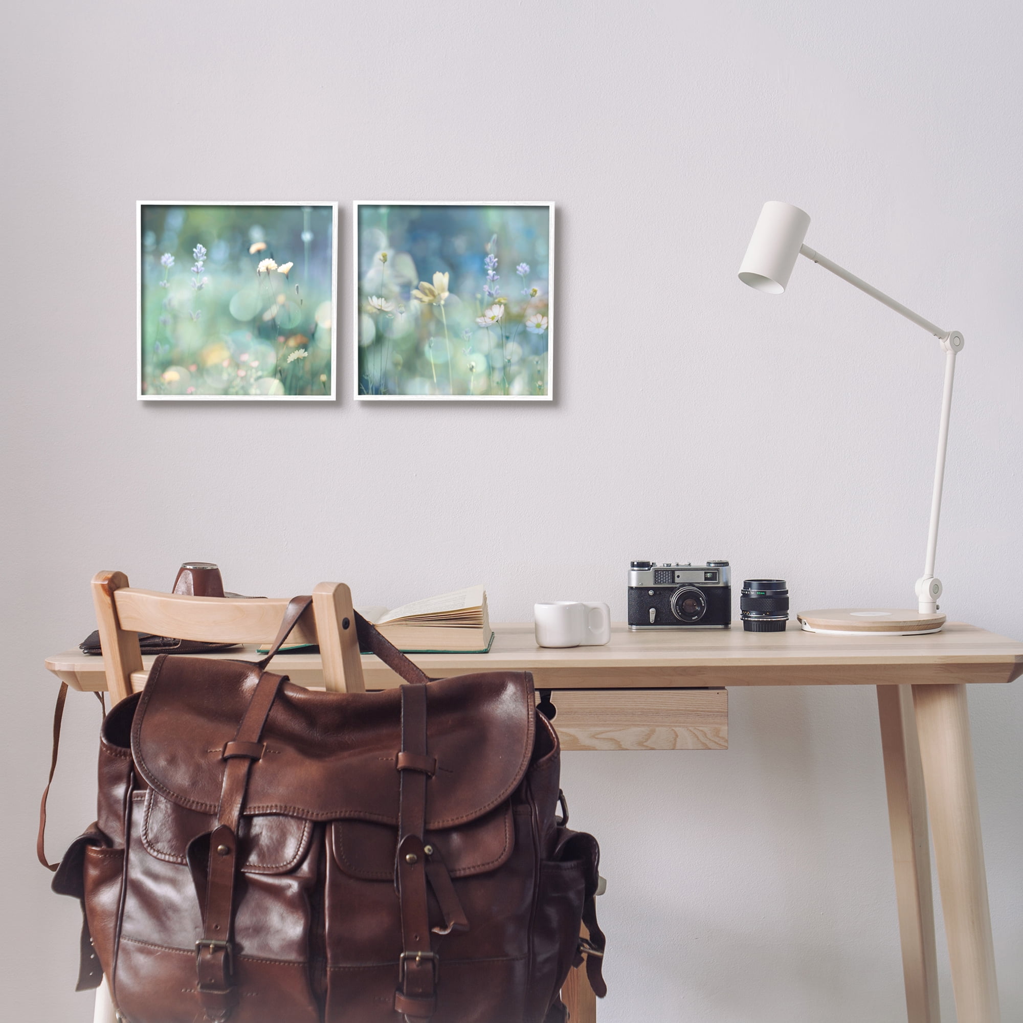 Stupell Industries Sunlit Daisy Field Botanical & Floral Photography White Framed Art Print Wall Art, 12 x 12