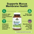 thumbnail image 4 of Nature's Answer Mullein-X Respiratory Support with NAC & Zinc, 90 Vegan Capsules, 4 of 5