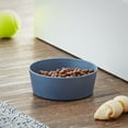 thumbnail image 2 of Vibrant Life Melamine Dog Bowl, Blue, Medium, 2 of 6