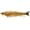 Golden, variant on Glide Baits Jointed Swimbait Lifelike Fishing Lures for Bass Trout Pike Salmon Bluegill